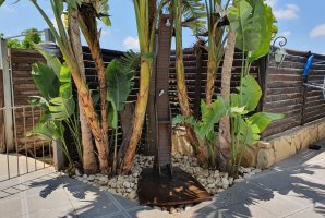 וילה קאזה מוזס 15