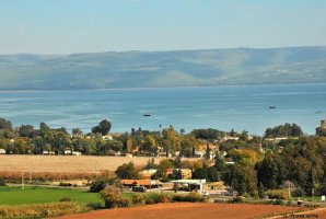 וילה מגדל 39