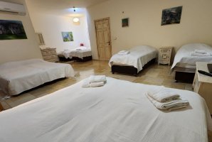 וילה מגדל 10