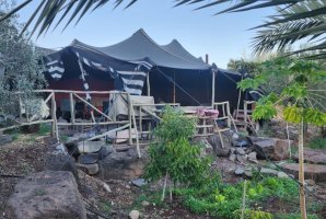 וילה מגדל 41