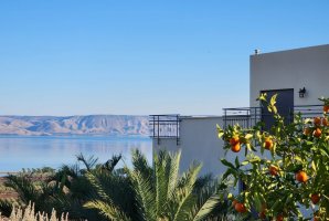 וילה מגדל 43