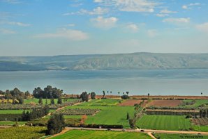 וילה מגדל 53