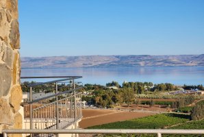 וילה מגדל 65