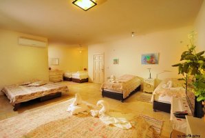 וילה מגדל 80