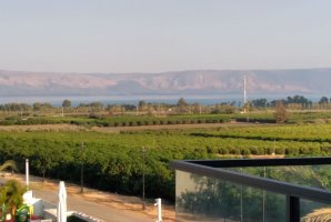 וילאה וילות יוקרה 12