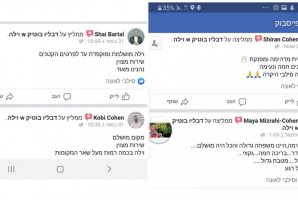 וילה W בוטיק 40