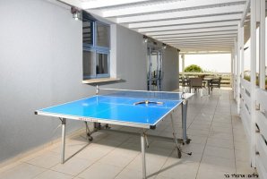 אחוזת שייה 11