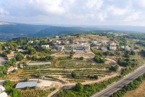 וילה מטע וכרם 13