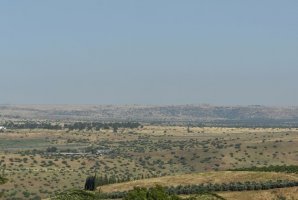 וילה מאיורי בוטיק 41
