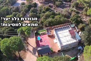 וילה אלת היער 7