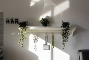 יוקרה בגליל דרנה 34