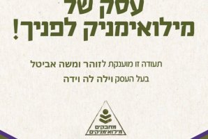 וילה לה וידה 66