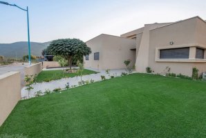 שלוות ענהאל 24