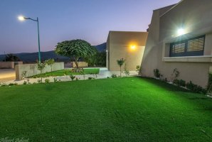 שלוות ענהאל 22