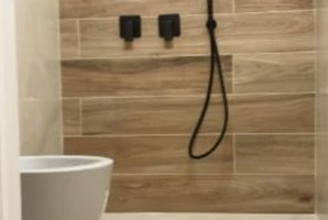 שלוות ענהאל 29