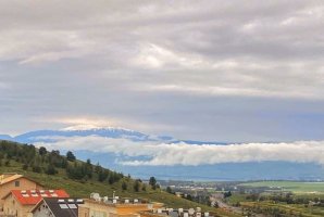 אחוזת רוורי 20