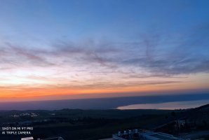 אחוזת רוורי 31