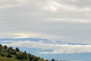 אחוזת רוורי 29