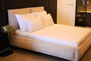 Suite Of Dreams 41