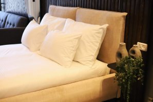 Suite Of Dreams 49