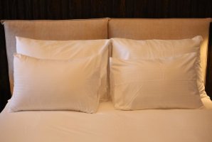 Suite Of Dreams 52