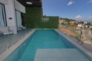 Suite Of Dreams 15