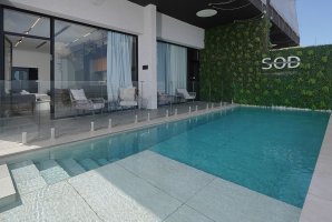 Suite Of Dreams 16