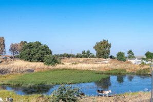 וילה אלפא 24