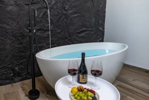 וילה אלפא 13