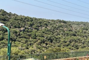אחוזת מנות בוטיק 33
