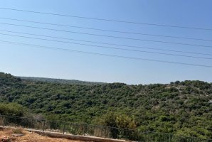 אחוזת מנות בוטיק 30