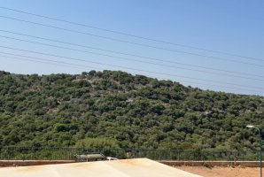 אחוזת מנות בוטיק 37