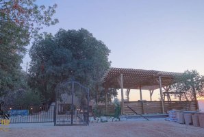 אחוזת טוקאי 41