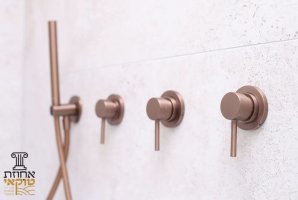 אחוזת טוקאי 32