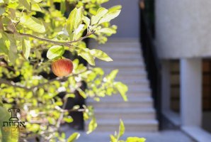 אחוזת טוקאי 62