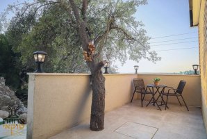 אחוזת טוקאי 29