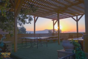 אחוזת טוקאי 11