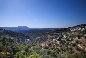 אחוזת טוקאי 38