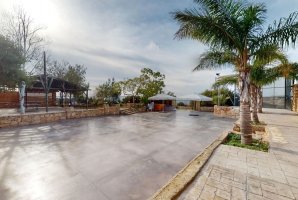 אחוזת האלונים 12