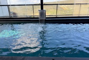 אחוזת מוריאנה 34