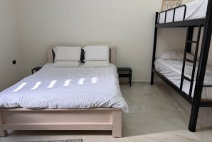 וויט פאלאס 24