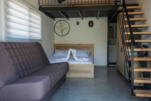 וילה אחוזת המעיין 22