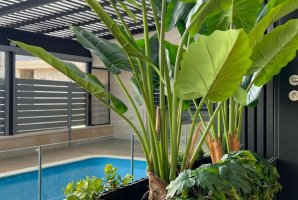 אחוזת ניל 22