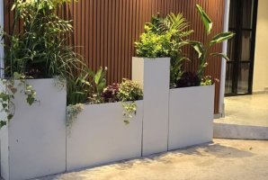 אחוזת ניל 24