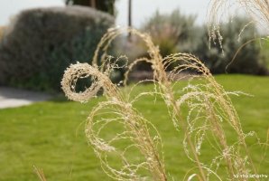 סאן ריזורט 62