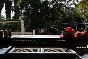 וילה אחוזת נתיב 25