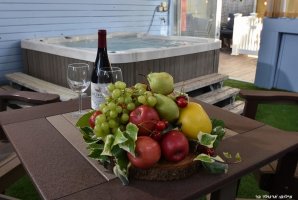 וילה אחוזת נתיב 29