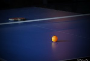 וילה אחוזת נתיב 45