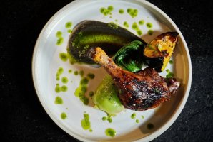 וילה אחוזת נתיב 14