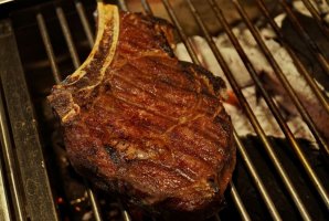 וילה אחוזת נתיב 17